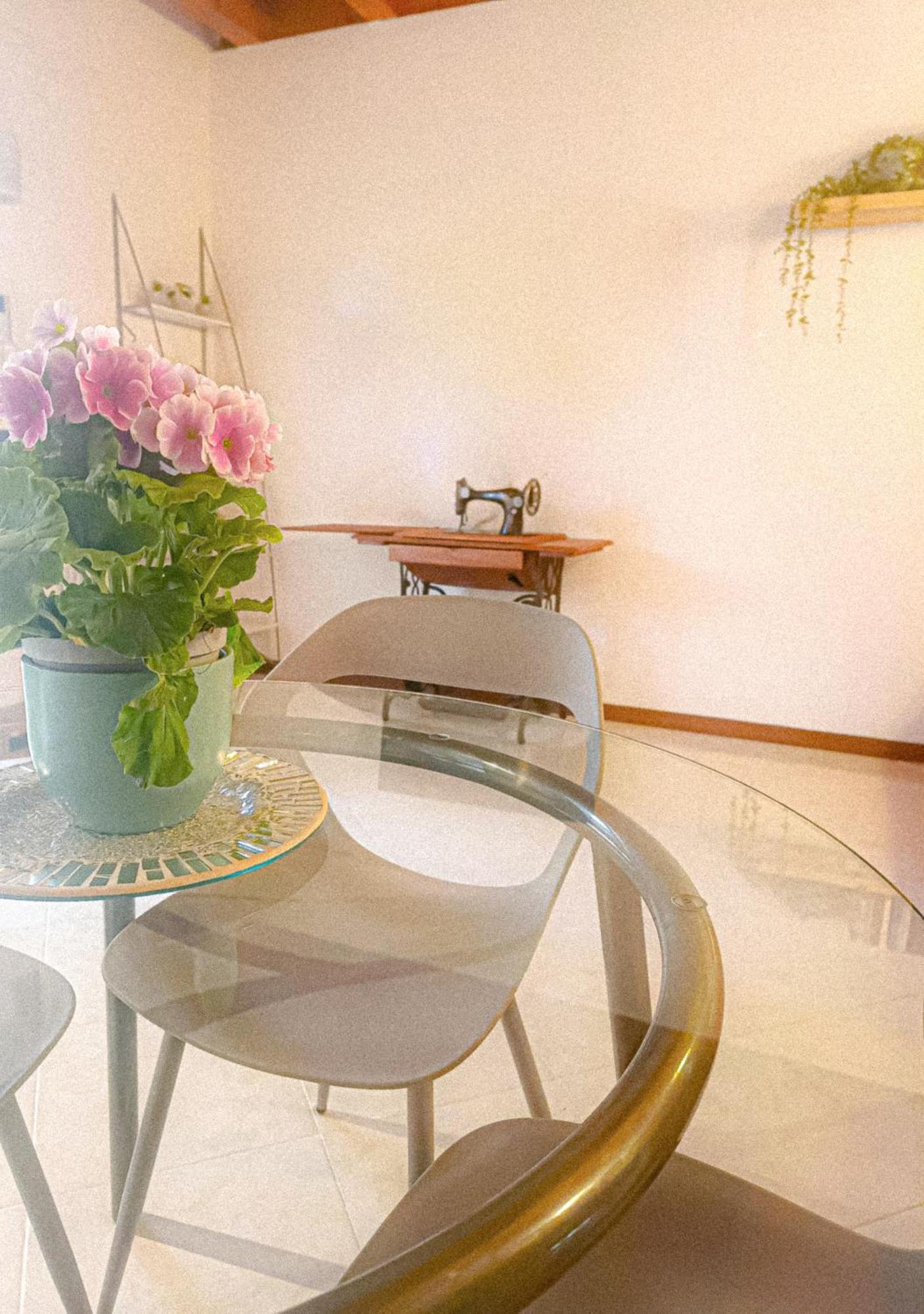 Picnic Apartment Salionze Zewnętrze zdjęcie